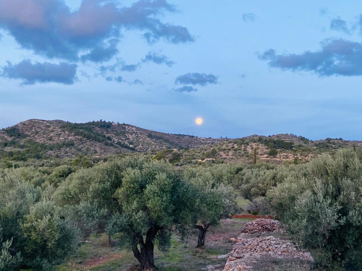 Paraiso Bell Tent Tortosa Exterior photo