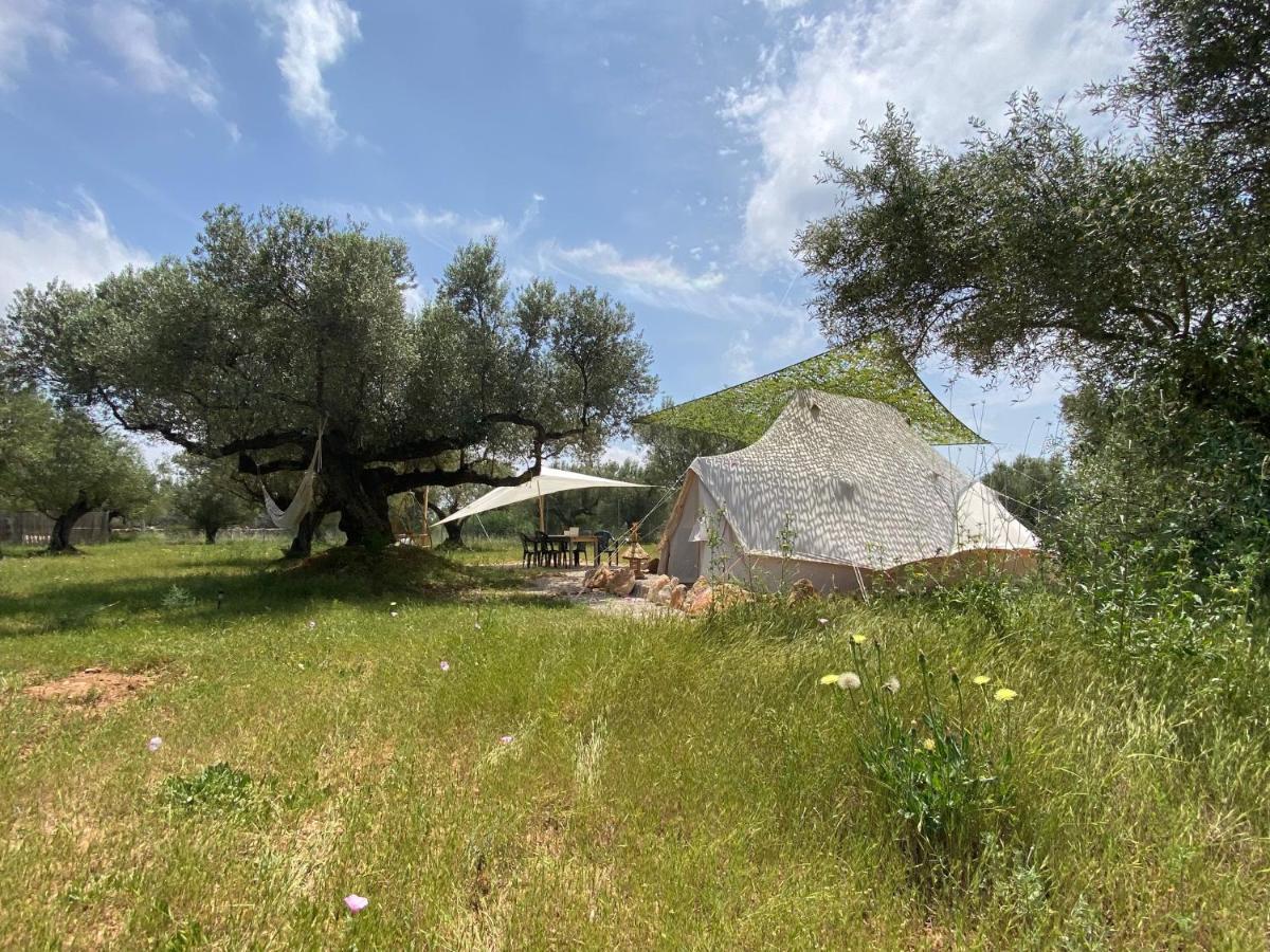 Paraiso Bell Tent Tortosa Exterior photo